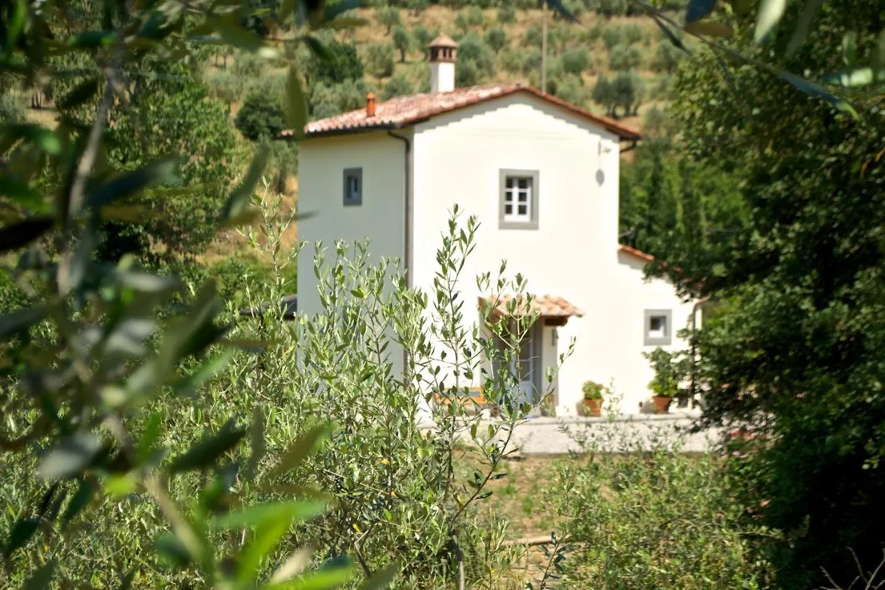 Villa Barbagianni Cortona Holiday home